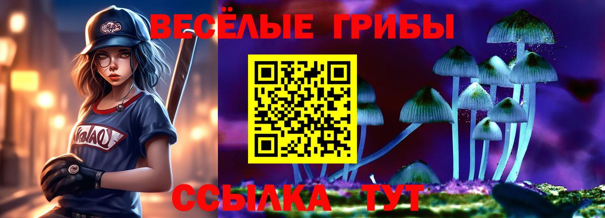 Псилоцибиновые грибы Cubensis Чернушка