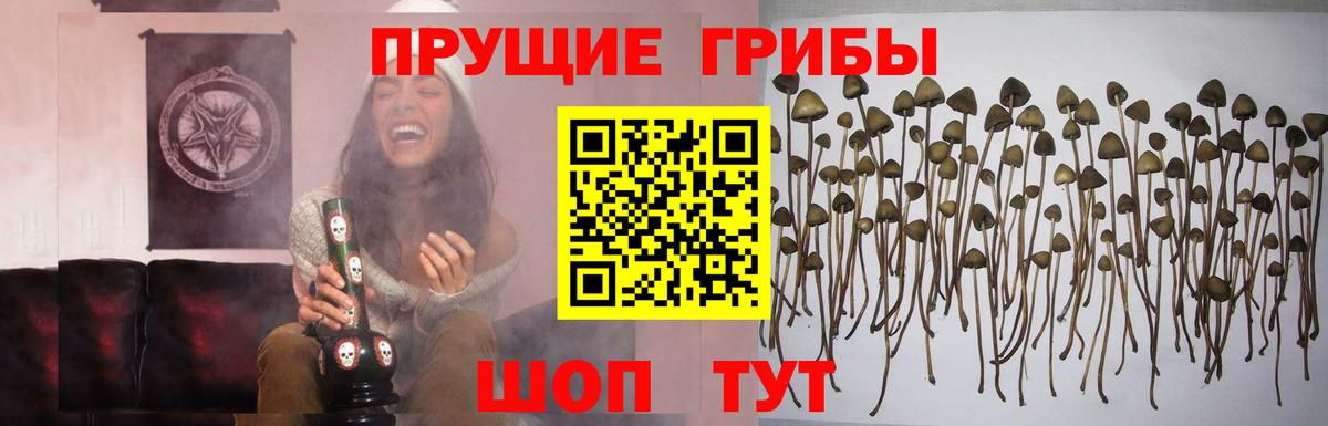 Галлюциногенные грибы мухоморы  Вход с VPN  Чернушка 